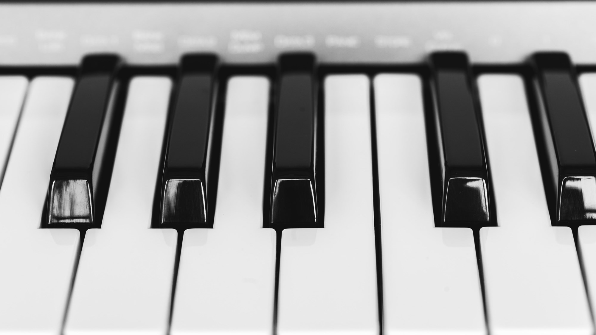 Close up of piano keys
